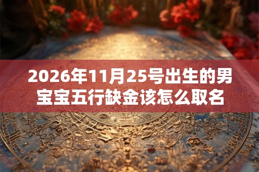 2026年11月25号出生的男宝宝五行缺金该怎么取名