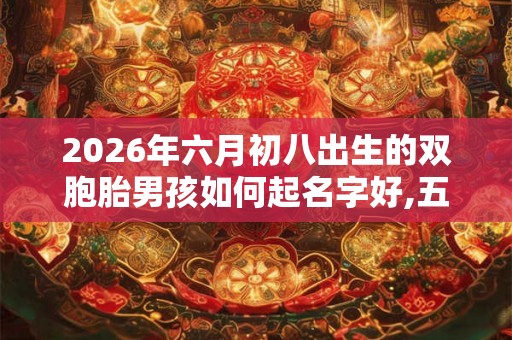 2026年六月初八出生的双胞胎男孩如何起名字好,五行属什么？