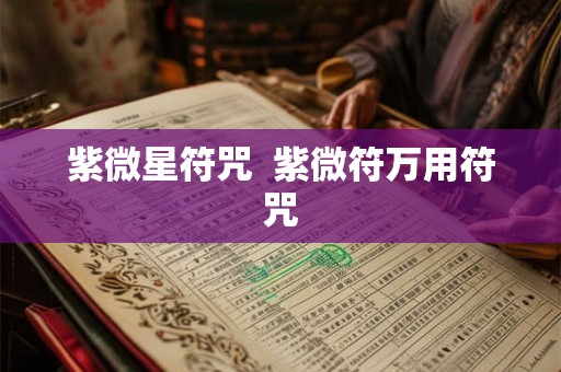 紫微星符咒  紫微符万用符咒