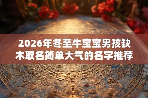 2026年冬至牛宝宝男孩缺木取名简单大气的名字推荐