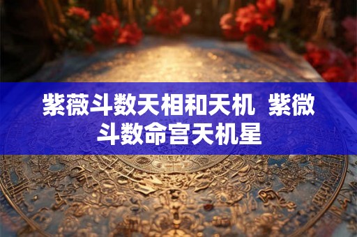 紫薇斗数天相和天机  紫微斗数命宫天机星