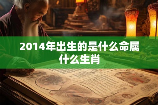 2014年出生的是什么命属什么生肖