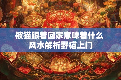 被猫跟着回家意味着什么 风水解析野猫上门