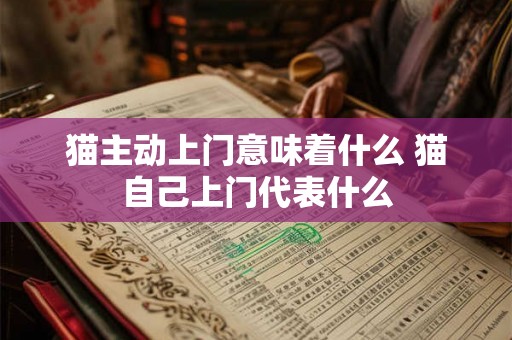 猫主动上门意味着什么 猫自己上门代表什么