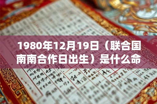 1980年12月19日（联合国南南合作日出生）是什么命_命运如何