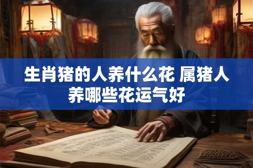 生肖猪的人养什么花 属猪人养哪些花运气好