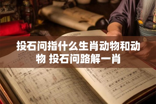 投石问指什么生肖动物和动物 投石问路解一肖