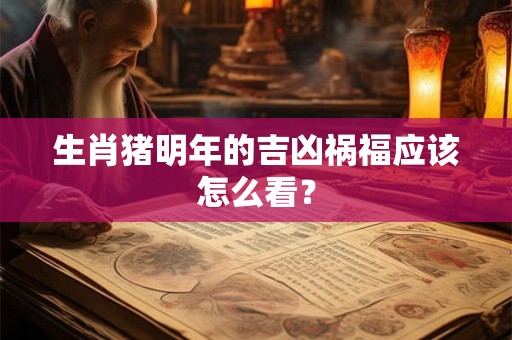 生肖猪明年的吉凶祸福应该怎么看？