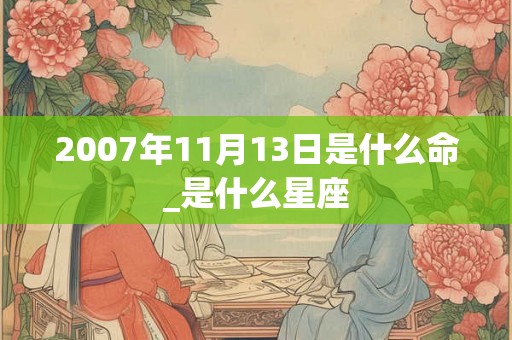 2007年11月13日是什么命_是什么星座