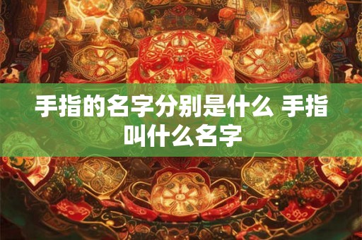 手指的名字分别是什么 手指叫什么名字