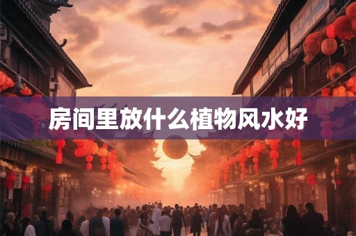 房间里放什么植物风水好 房间里放什么植物风水好
