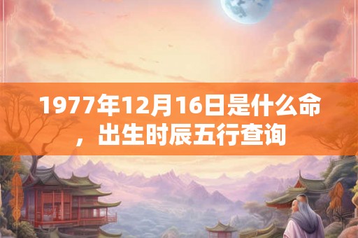 1977年12月16日是什么命，出生时辰五行查询