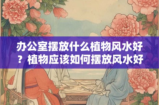 办公室摆放什么植物风水好？植物应该如何摆放风水好？