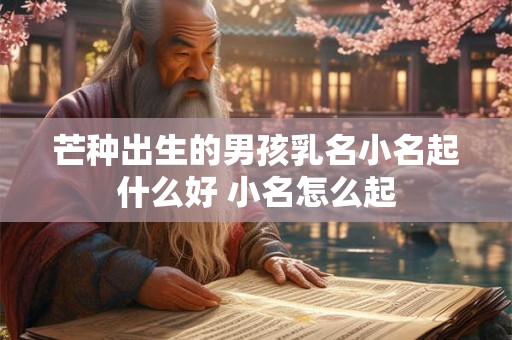 芒种出生的男孩乳名小名起什么好 小名怎么起