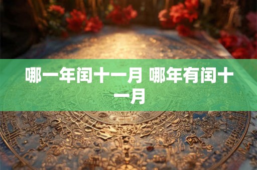 哪一年闰十一月 哪年有闰十一月