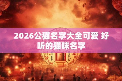 2026公猫名字大全可爱 好听的猫咪名字