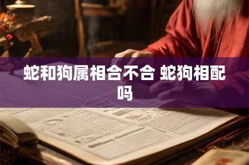 蛇和狗属相合不合 蛇狗相配吗
