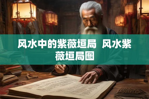风水中的紫薇垣局  风水紫薇垣局图