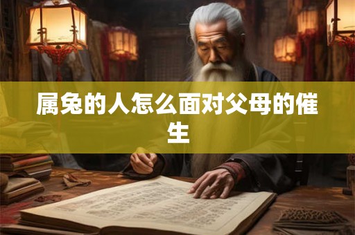 属兔的人怎么面对父母的催生