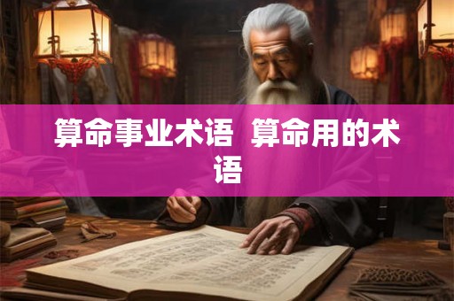 算命事业术语  算命用的术语