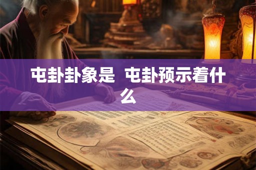 屯卦卦象是  屯卦预示着什么
