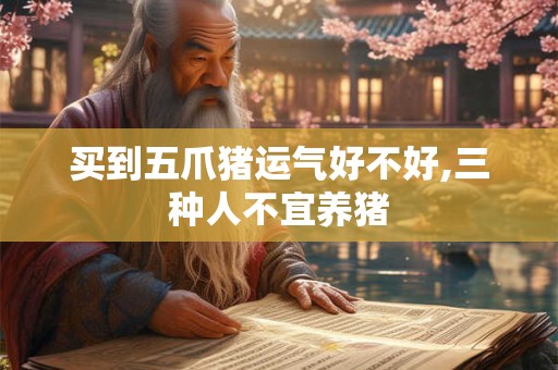 买到五爪猪运气好不好,三种人不宜养猪