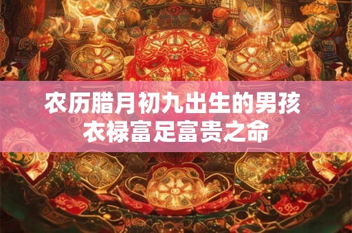 农历腊月初九出生的男孩 衣禄富足富贵之命