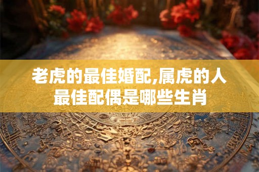 老虎的最佳婚配,属虎的人最佳配偶是哪些生肖