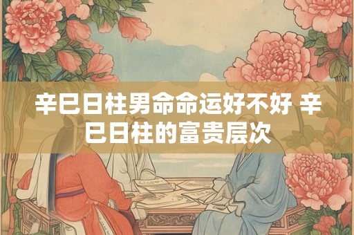 辛巳日柱男命命运好不好 辛巳日柱的富贵层次 辛巳日柱男命命运好不好 辛巳日柱的富贵层次