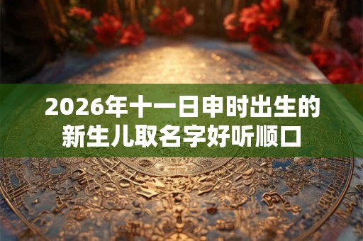 2026年十一日申时出生的新生儿取名字好听顺口 2026年十一日申时出生的新生儿取名字好听顺口