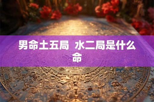 男命土五局  水二局是什么命