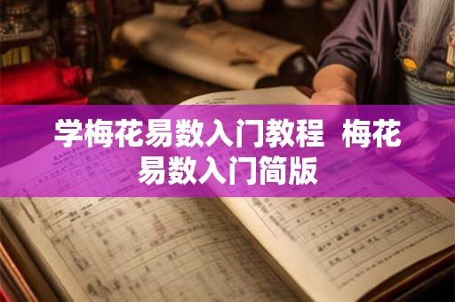 学梅花易数入门教程  梅花易数入门简版