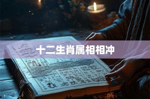 十二生肖属相相冲