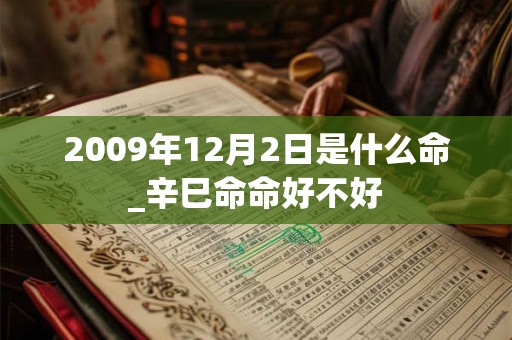 2009年12月2日是什么命_辛巳命命好不好