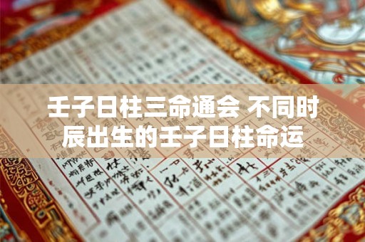 壬子日柱三命通会 不同时辰出生的壬子日柱命运