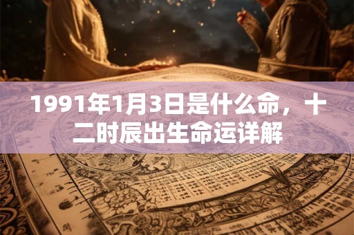 1991年1月3日是什么命，十二时辰出生命运详解