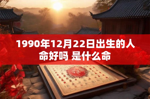 1990年12月22日出生的人命好吗 是什么命