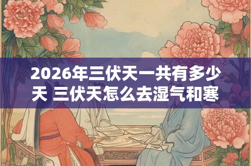 2026年三伏天一共有多少天 三伏天怎么去湿气和寒气 2026年三伏天一共有多少天 三伏天怎么去湿气和寒气