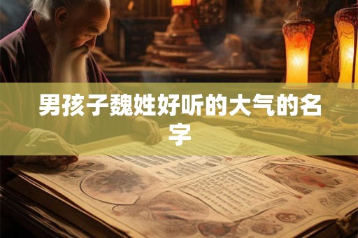 男孩子魏姓好听的大气的名字