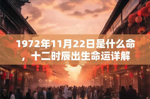 1972年11月22日是什么命，十二时辰出生命运详解