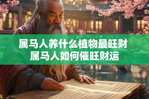 属马人养什么植物最旺财 属马人如何催旺财运 属马人养什么植物最旺财 属马人如何催旺财运
