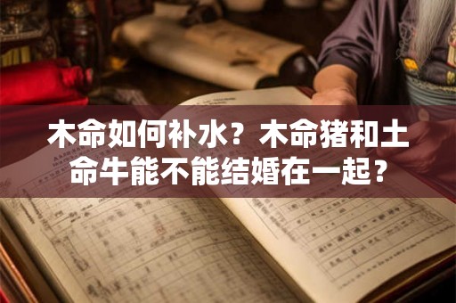 木命如何补水?木命猪和土命牛能不能结婚在一起? 木命如何补水?木命猪和土命牛能不能结婚在一起?