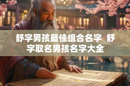 舒字男孩最佳组合名字  舒字取名男孩名字大全