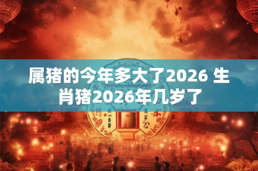 属猪的今年多大了2026 生肖猪2026年几岁了