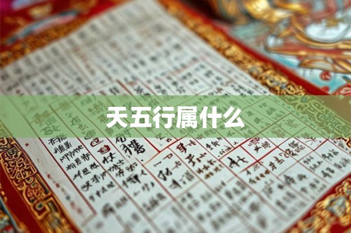 天五行属什么