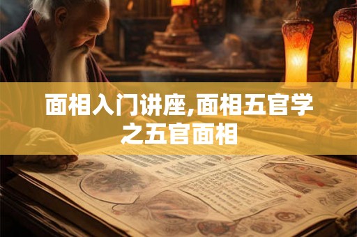 面相入门讲座,面相五官学之五官面相