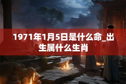 1971年1月5日是什么命_出生属什么生肖