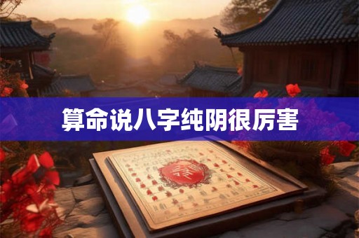 算命说八字纯阴很厉害