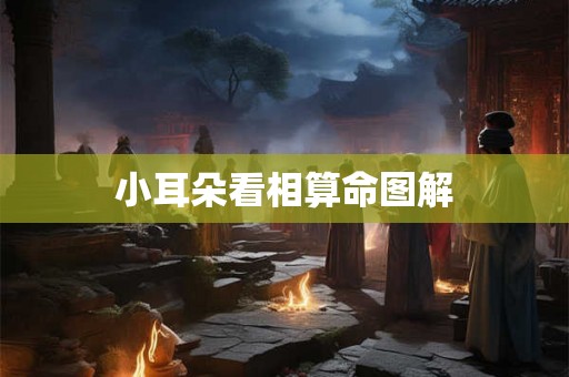 小耳朵看相算命图解