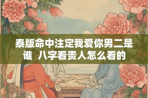 泰版命中注定我爱你男二是谁  八字看贵人怎么看的